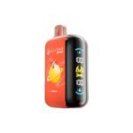 ELFBAR GH20000 - Chilled Classic Red / OG CO