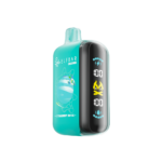 ELFBAR GH20000 - Strawberry Kiwi Ice