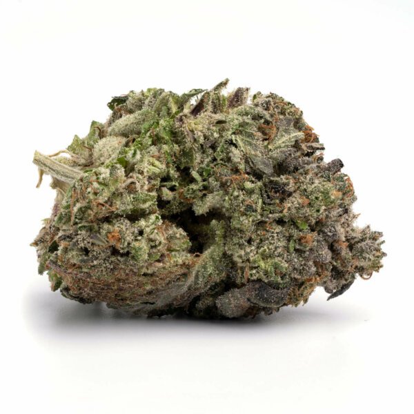 httpsascendsdispensary.comwp-contentuploads202411Alien-OG-2-600x600-1-4.jpg Alien OG - Image 1