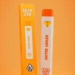 GRAB & DAB RAINBOW RUNTZ DISPOSABLE