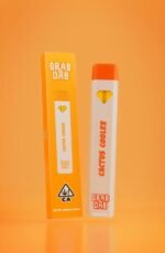 GRAB & DAB RAINBOW RUNTZ DISPOSABLE - Image 2