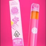 GRAB & DAB KIWI SKUNK DISPOSABLE