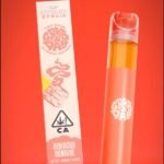 GRAB & DAB KARIBEAN MANGO DISPOSABLE 