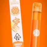  GRAB & DAB PINA COLADA DISPOSABLE 